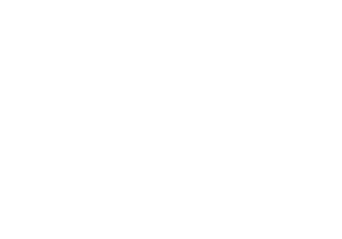 Logo Norgine